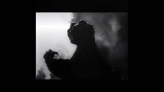 The Darkside Of Gojira