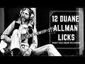 12 Duane Allman Licks You Need To Know!