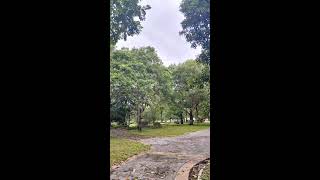 welcome to live sailen