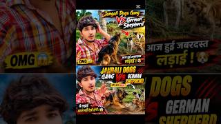 German Shepherd V/S Jungli Dogs Gang 😱😳|#germanshepherddog #Junglidogs#desidog #petvlog #shortdogs