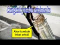 Vido Botol Viral - Viral video kem4lu4n di m4sukin botol sampai di pake 17 teman nya !