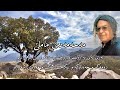 ئەرێ ئەی بە زولف و ڕوخسار سەنەمی چین ماهی تابم کوردستان ماملێ محەمەدی ماملێ خۆشترین گۆرانی ماملێ