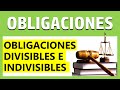 Obligaciones DIVISIBLES e INDIVISIBLES