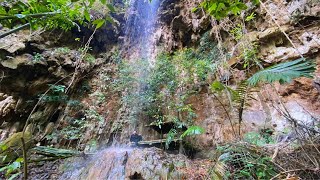 Solo Bushcaft: Build a shelter under a majestic waterfall. 365 days Solo Bushcaft - P.1