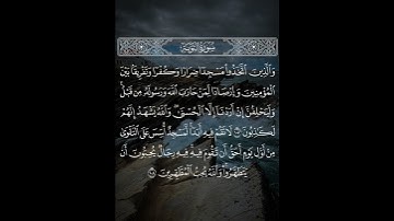 والذين اتخذوا مسجدا ضرارا #سورة_التوبة #خالد_الجليل #حامل_القرآن #إسلاميات #قرآن #شهر_رمضان
