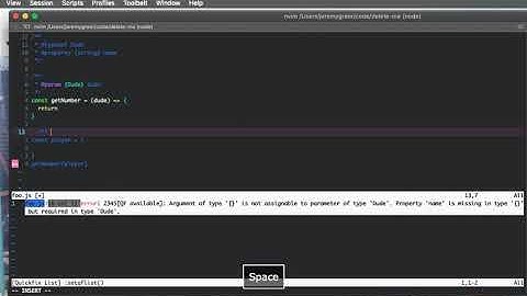 vim with ts via jsdoc