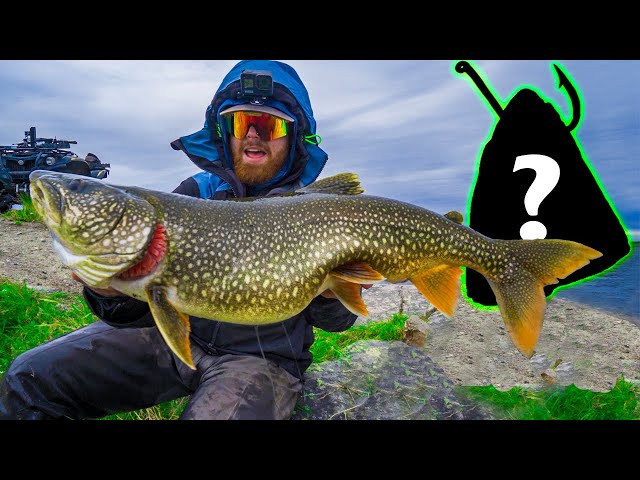 TOP SECRET UNCONVENTIONAL SHORE FISHING TECHNIQUE TO CATCH HUGE