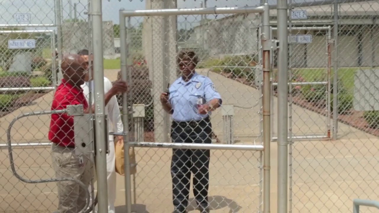 Pathway to Freedom   TJ's Story