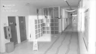 School security camera: Is it a ghost? Deerpark CBS School Ireland