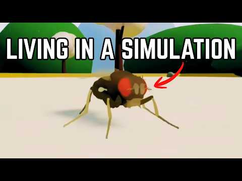 Scientists Just Put This Fly In The Matrix