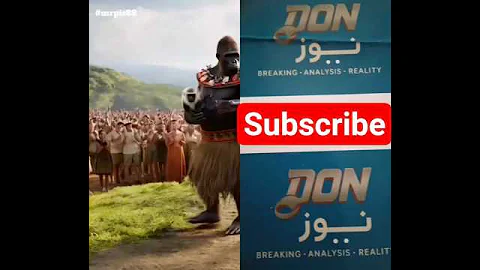 Unusual Wedding: When Nature Witnesses Wordless Love #nature #animals #funny #love #trending