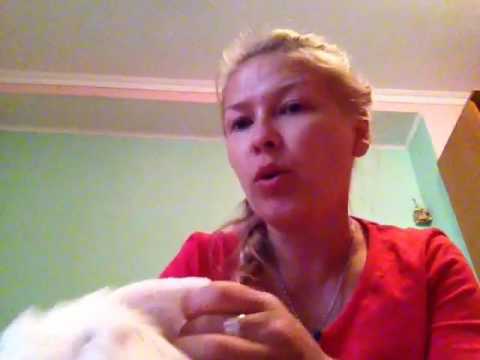 Разница между подгузниками GOON и Merries