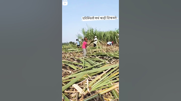 #ऊसतोड #कामगार #बीड