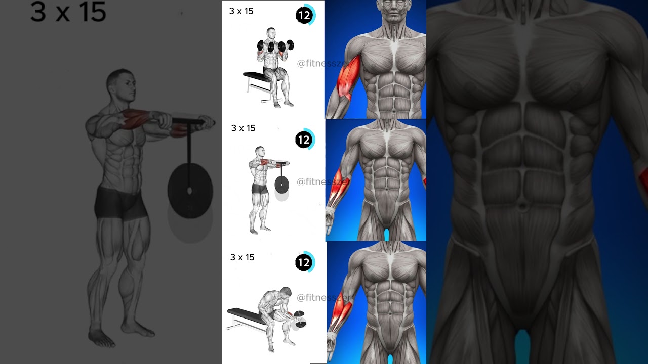 3 Killer Forearm Exercises for Massive Gains! 