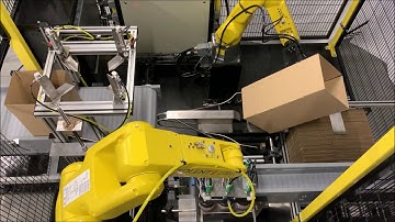 Carton Packing Machine - a robot erecting a box whilst another is packing jars in to the box