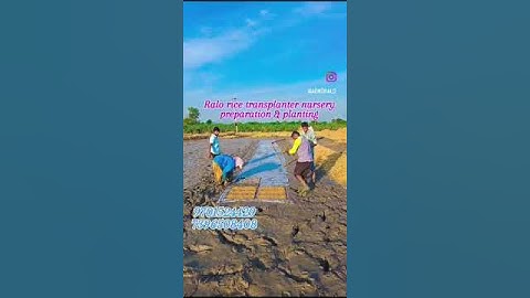 ralo rice transplanter machine nursery
