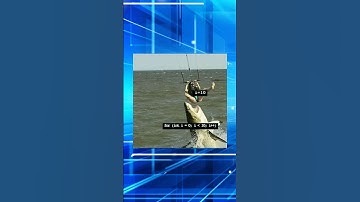 Programming memes, only humor #jokes #fy #fyp #soft #software #code #it #technology #git