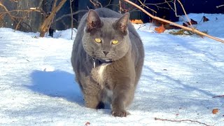 A Good Way to End the Day on the Farm