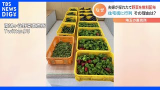 採れたて野菜を無料配布　直売所の夫婦がコロナ感染も「廃棄するよりは食べて欲しい」1時間で完売　埼玉・南鳩ヶ谷野菜直売所｜TBS NEWS DIG