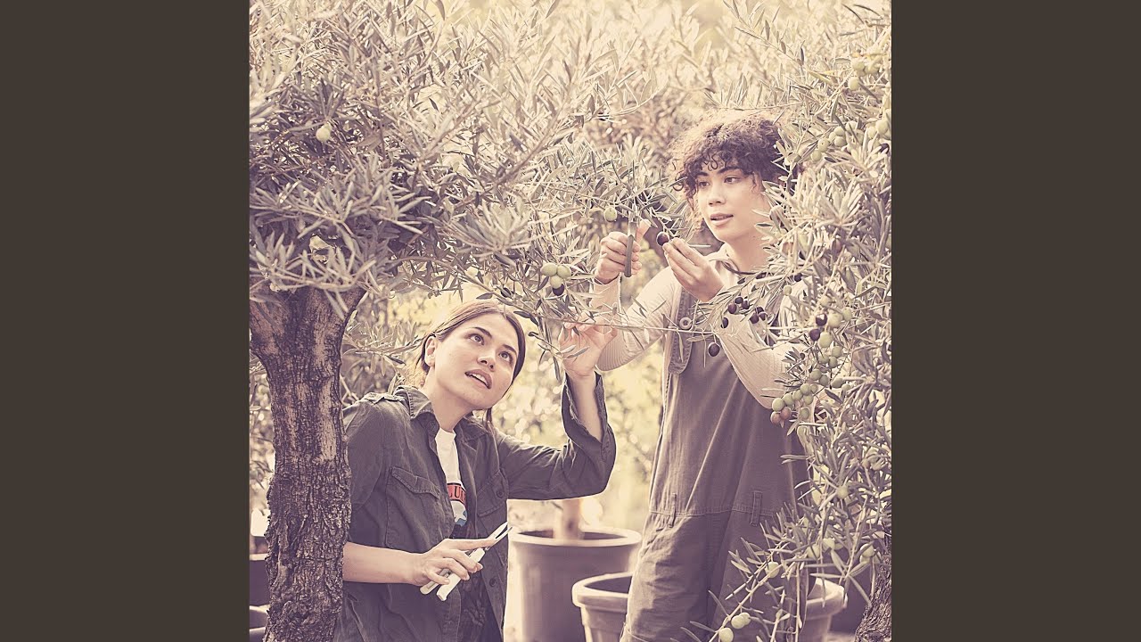 Luxurious Anxiety Reduction