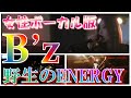 【女性ボーカルB'z!】vol.4「野生のENERGY」【毎週新作公開!】