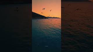 Download Lagu le jaaye jaane kahan hawayein hawayein song status | Lofi auraa MP3