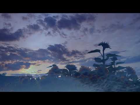 Amber Sky (Sax. Rock Hendricks) Paul Hardcastle