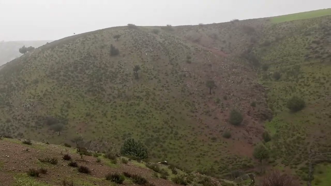 مبروك الروى والسلامة: travaille والاكل والشراب والنشاط حتي الموت ان شاء الله.