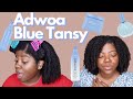 *NEW Adwoa Beauty Blue Tansy Collection | Spend Your Coins or Pass???