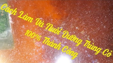 CÁCH LÀM TRÙNG CỎ 100% THÀNH CÔNG CHO CÁ BỘT