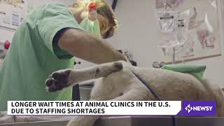 Longer Wait Times At Animal Clinics ?