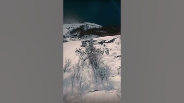 واتس اب قران كريم القارئ ياسر دوسري (سوره المائدة)