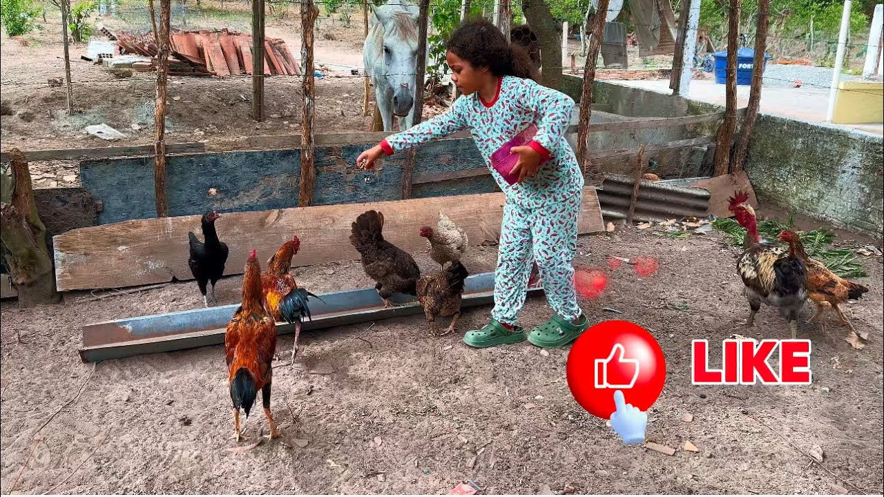 24 HORAS NO SÍTIO!!!