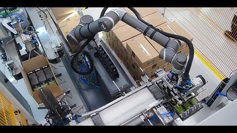 Case Packing & Palletizing System 4 in 1 with Cobot at APIVITA SA