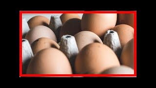 Kauza fipronil: Veterináři nařizují kontrolu všech rizikových vajec
