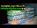 আলহামদুলিল্লাহ, আজকে ১২০০ পিচ কোয়েল পাখির বাচ্চার অর্ডার পেলাম! Koyel Pakhi | Mohespur, Jhenaidah
