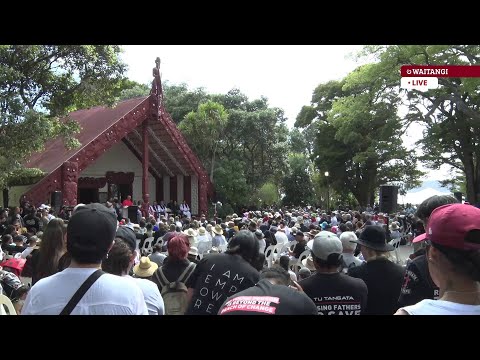 Waitangi 2020 |