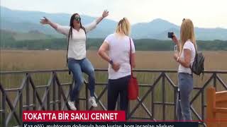 Tokatta Bi̇r Sakli Cennet Kaz Gölü