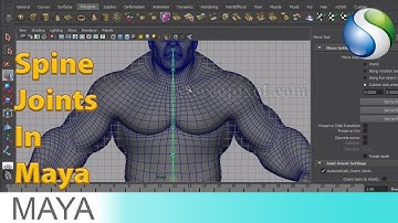 Rigging In Maya Chapter 02 - Spine Joints