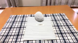 Trick Egg !