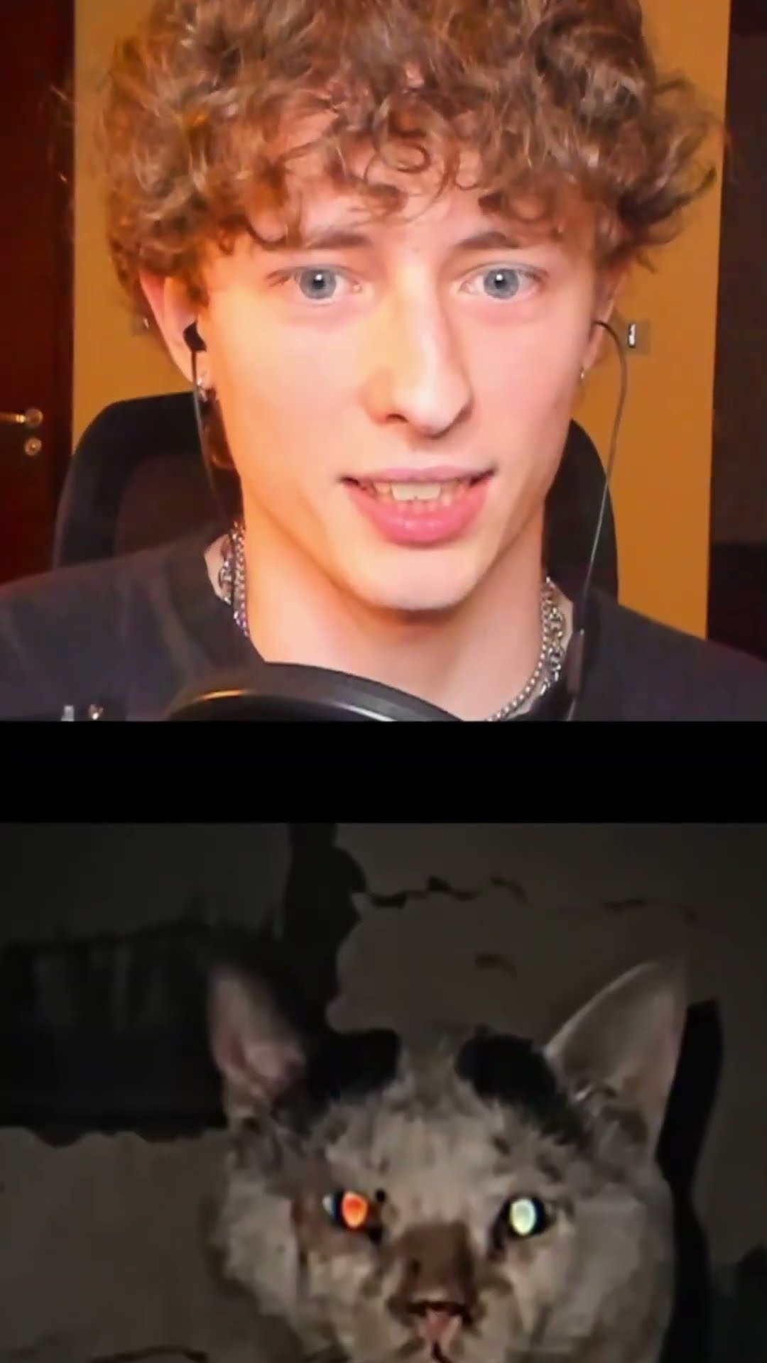 NO te metas con este GATO?