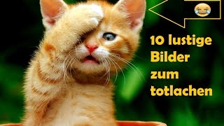 10 lustige Bilder!!!