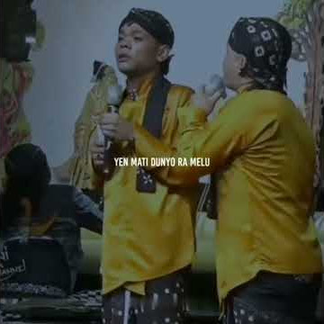 Story WA Lucu Percil Bojo Ayu Wes Ono Sing Nemu