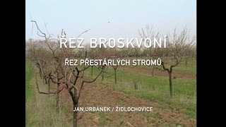 Řez broskvoní - přestárlé stromy (3. díl)