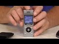 Диктофон OLYMPUS DM-650 − живой  320kbps stereo звук! Обзор и тест