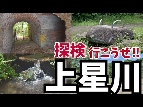 相鉄線上星川駅往復さんぽ！ たちばなの丘公園•市沢市民の森