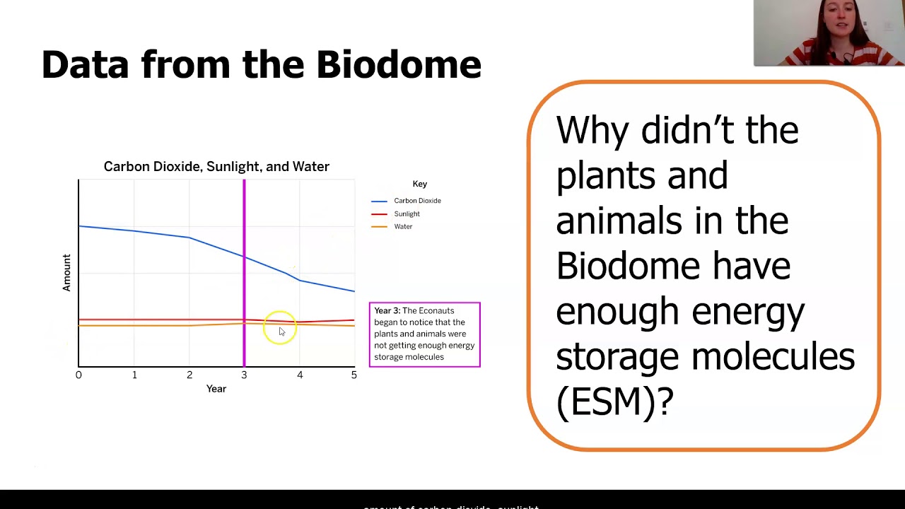 Grade 7: Matter and Energy in Ecosystems, Lesson 2 (Part 5 of 5) - YouTube