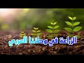 درس الزراعة في وطننا العربي للصف الثاني الاعدادي ترم تاني مؤمن والدراسات درس الزراعة في وطننا العربي للصف الثاني الاعدادي ترم تاني مؤمن والدراسات