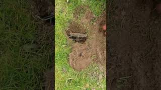 www.aopmc.co.uk talpex mole trapping.