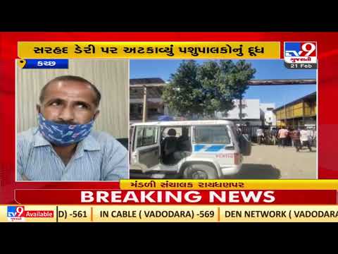 Raidhanpar milk Co-operative refused to accept milk, cattle breeders fume |Kutch |TV9GujaratiNews